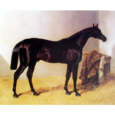 JF Herring Sr. Horse Prints - Charles XII