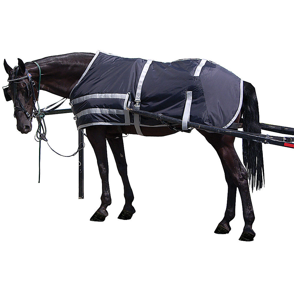 Wagon Master Horse Blanket image