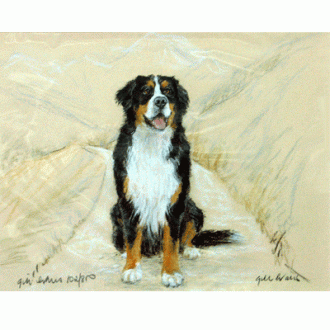 Corinium Fine Art Dog Prints - Bernese Mountain Dog