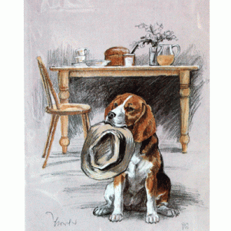 Corinium Fine Art Dog Prints - Beagle