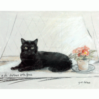 Corinium Fine Art Cat Prints - Black Cat on Window Sill