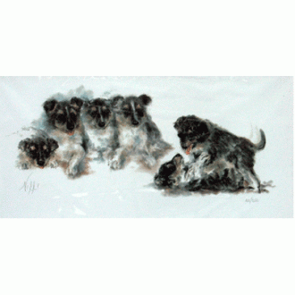 Corinium Fine Art Dog Prints - Border Collie Puppies