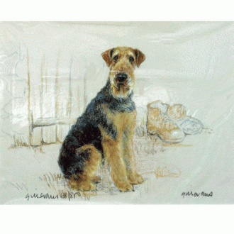 Corinium Fine Art Dog Prints - Airedale