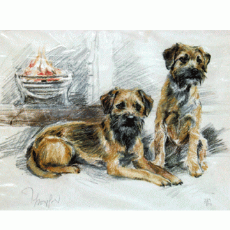 Corinium Fine Art Dog Prints - Border Terriers