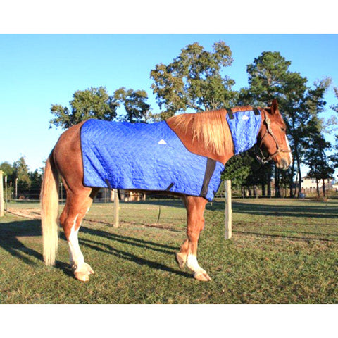Techniche HyperKewl™ Evaporative Horse Cooling Blanket-Blue SM-M